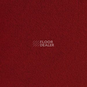 Ковролин Brintons True Velvet True Velvet Gallery Red фото 1 | FLOORDEALER